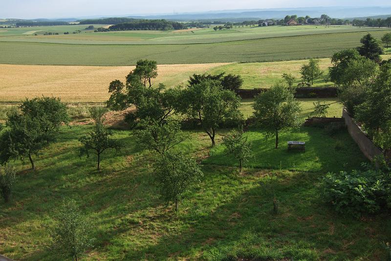 3-2-13 Streuobstwiesen bei Merzkirchen.JPG - Streuobstwiesen bei Merzkirchen